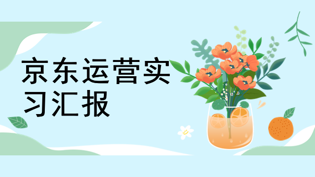 京东运营实习汇报