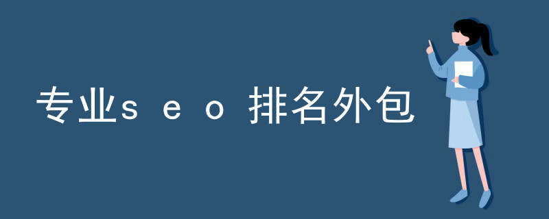 专业seo排名外包