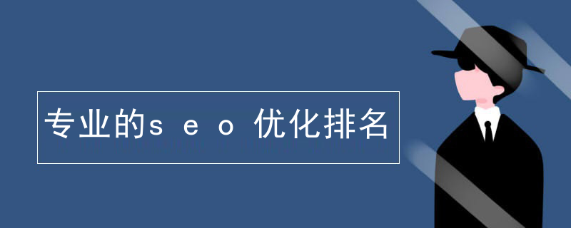 专业的seo优化排名
