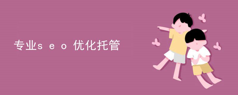 专业seo优化托管