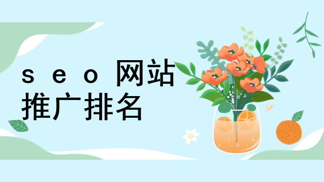 seo网站推广排名