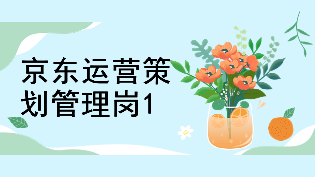 京东运营策划管理岗