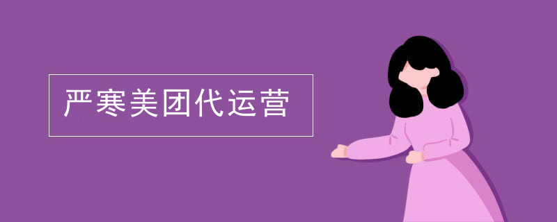 严寒美团代运营