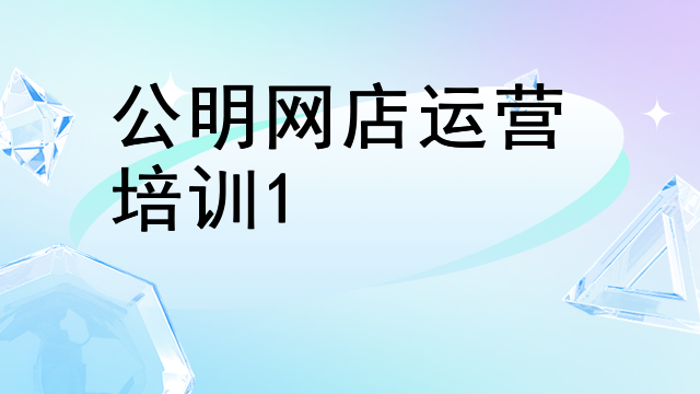 公明网店运营培训