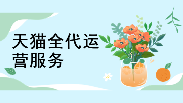 天猫全代运营服务