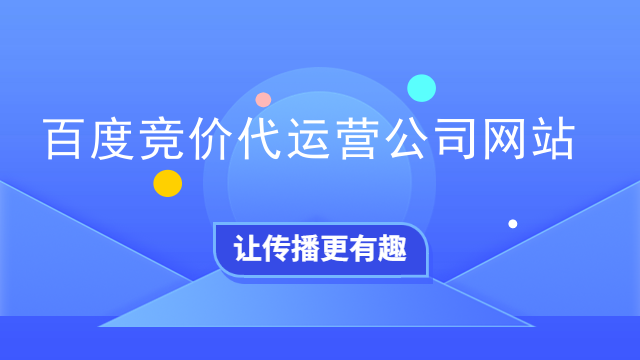 百度竞价代运营公司网站