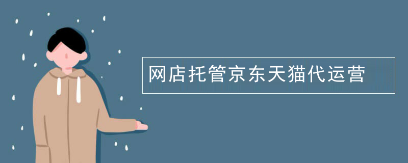 网店托管京东天猫代运营