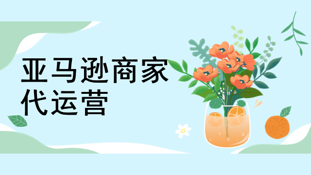 亚马逊商家代运营