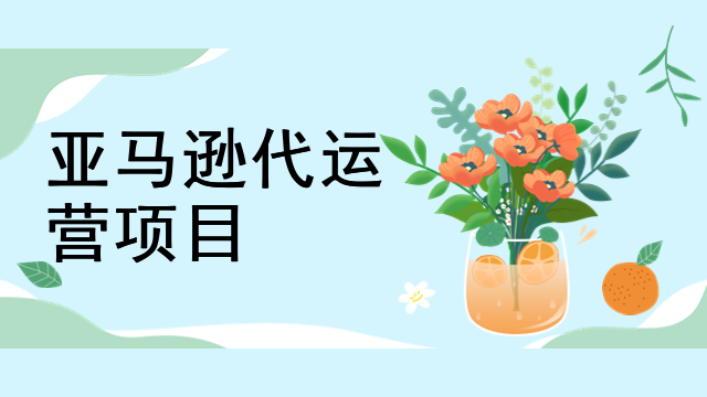 亚马逊代运营项目