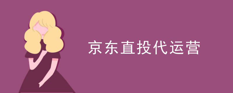 京东数码代运营公司