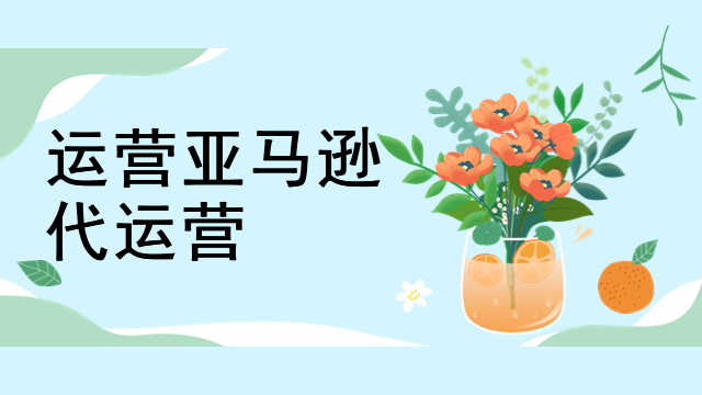 运营亚马逊代运营