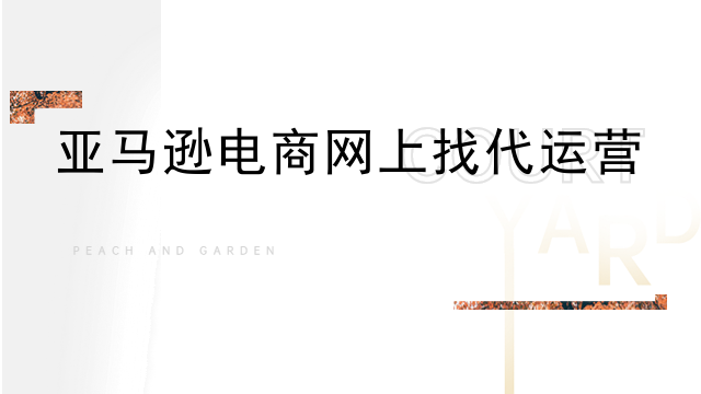 亚马逊电商网上找代运营