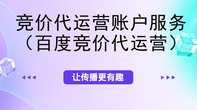 竞价代运营账户服务（百度竞价代运营）